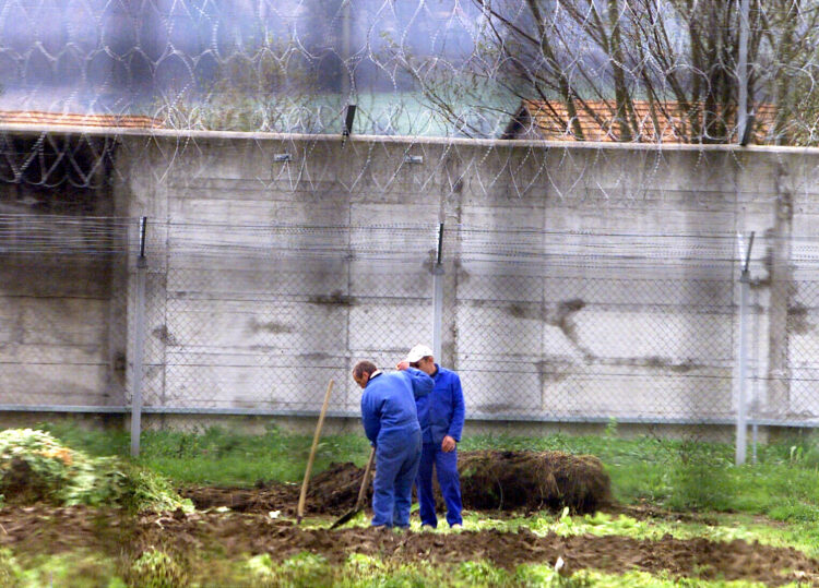 Zaporniki obdelujejo vrt