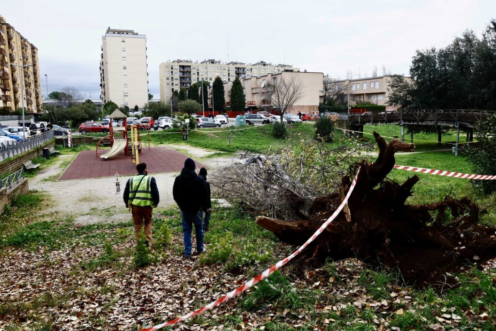 Škoda po močnemu vetru v Rimu