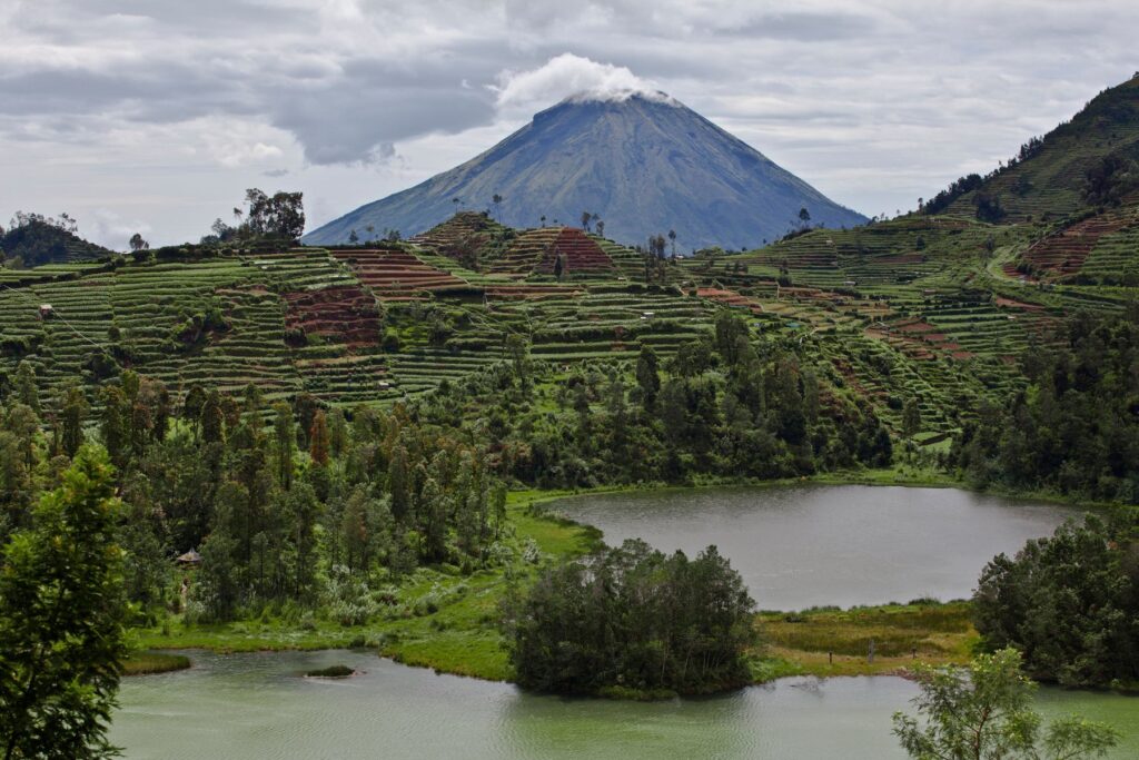 Gora Tambora