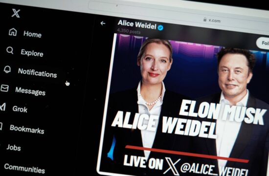 Elon Musk in Alice Weidel