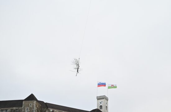 Zakaj nad Ljubljano danes letijo drevesa (FOTO in VIDEO)