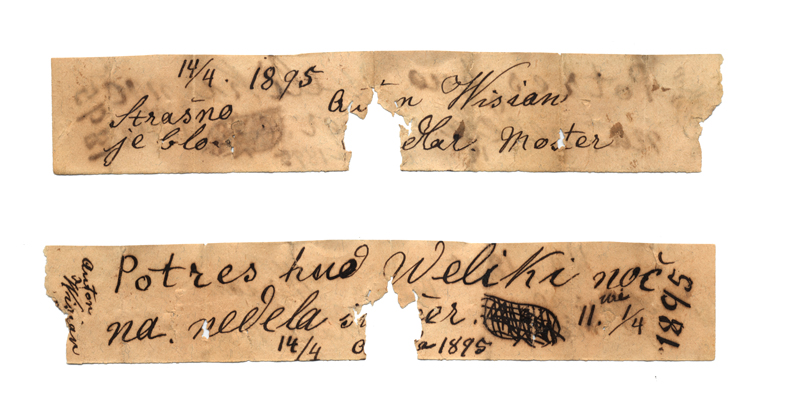 Ljubljana po potresu leta 1895